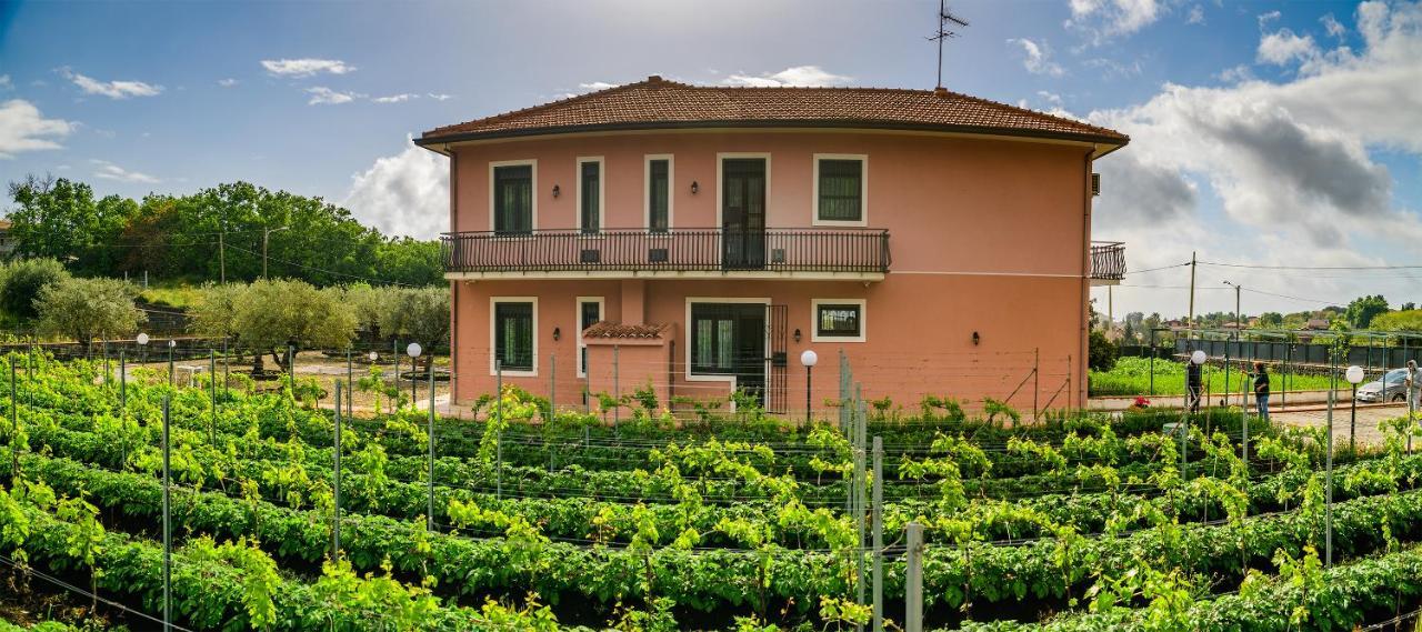Bee Happy - Bed And Breakfast Zafferana Etnea Bagian luar foto
