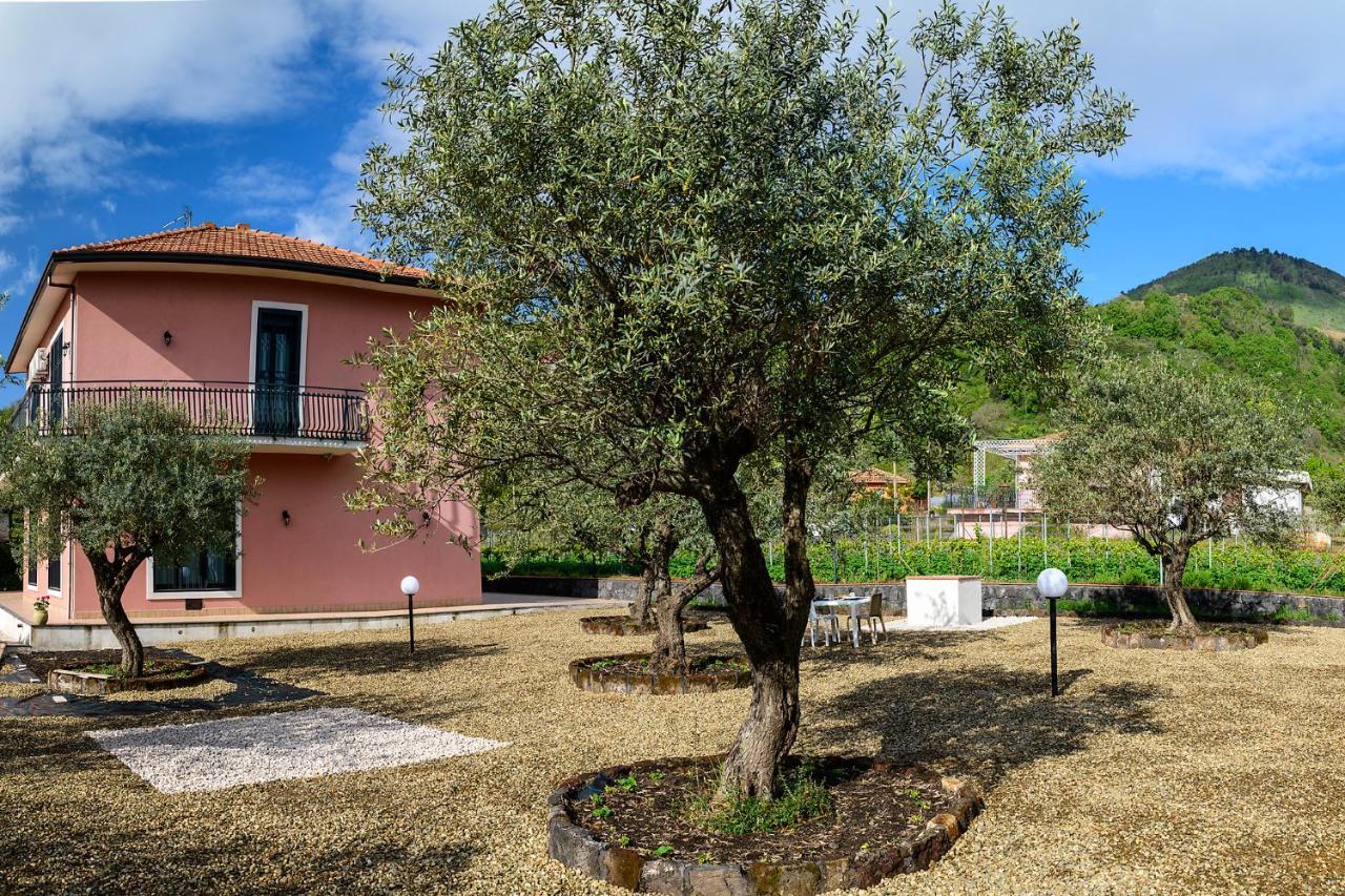 Bee Happy - Bed And Breakfast Zafferana Etnea Bagian luar foto