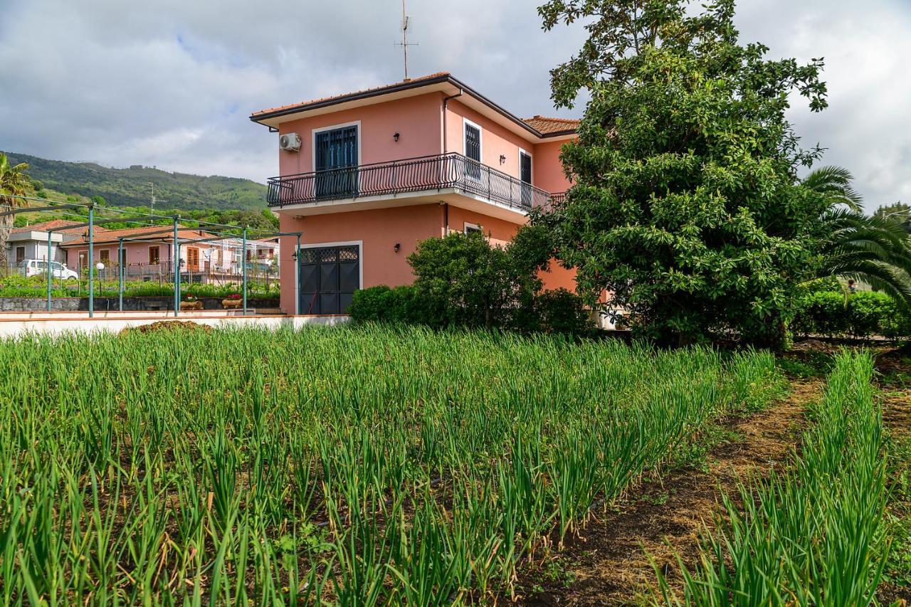Bee Happy - Bed And Breakfast Zafferana Etnea Bagian luar foto