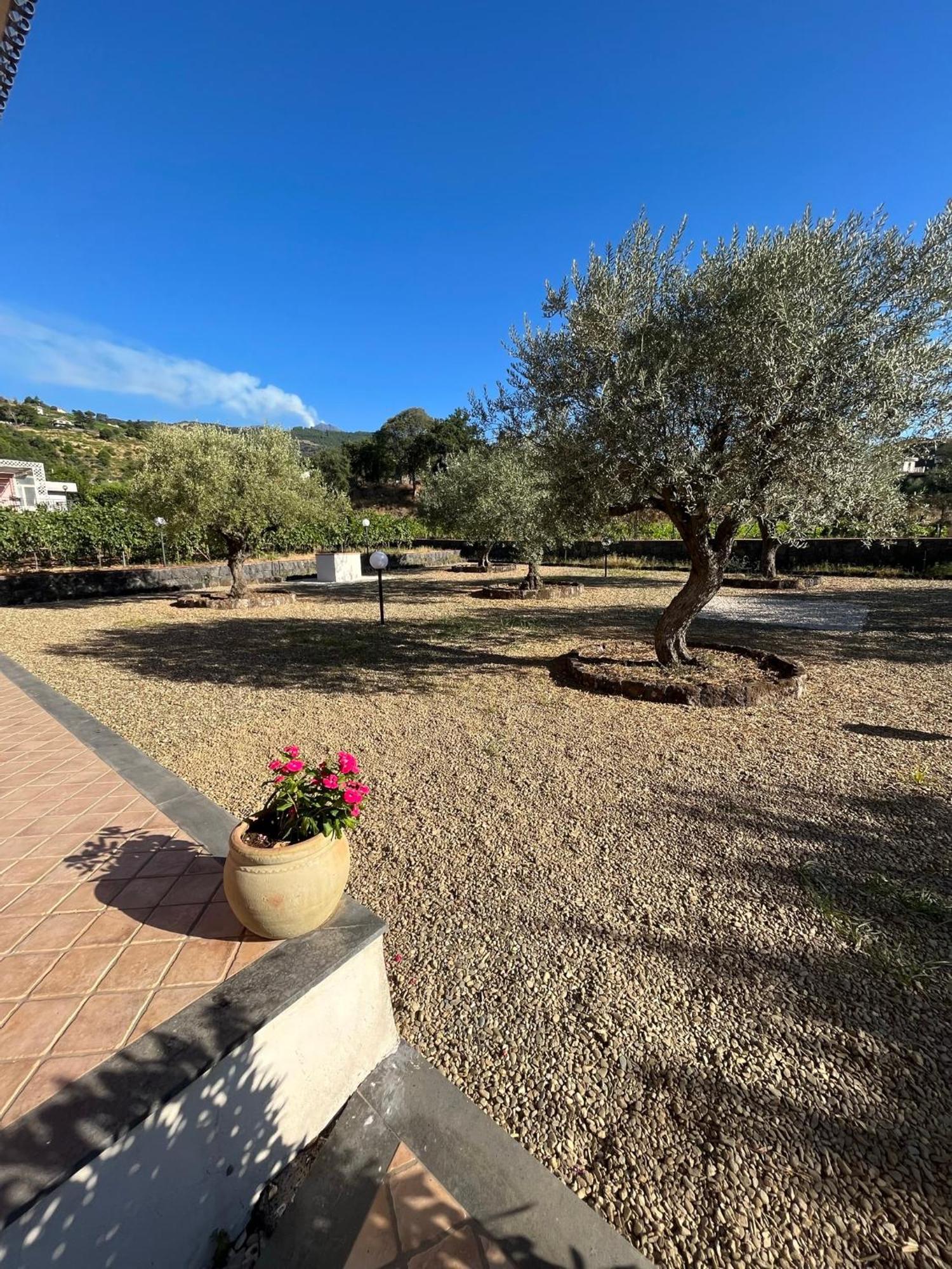 Bee Happy - Bed And Breakfast Zafferana Etnea Bagian luar foto